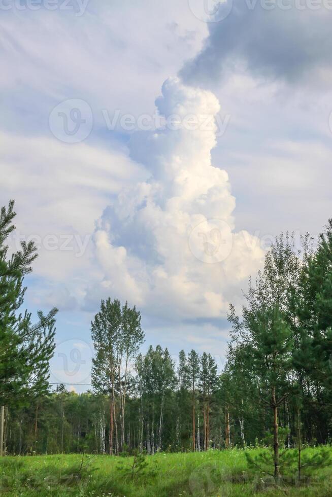 Countryside landscape with green fields and blue sky in Latvia. photo