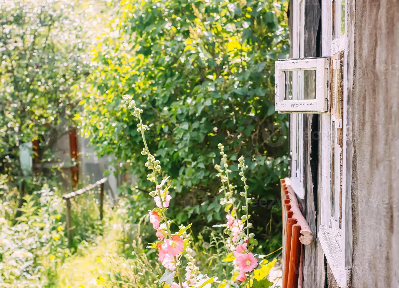 Exterior of the old wooden rural house. Sash window. photo