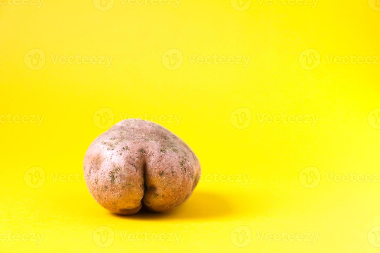 Raw funny potato in a shape of ass. photo