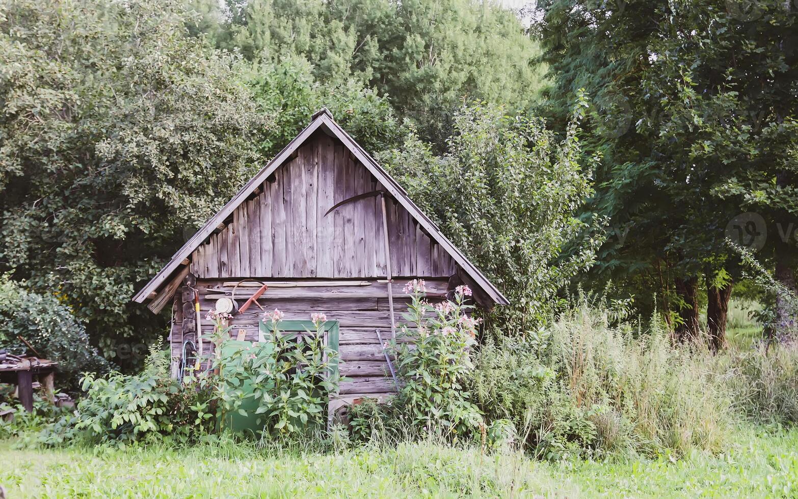 Old wooden shed in the village. Farm buildings. photo