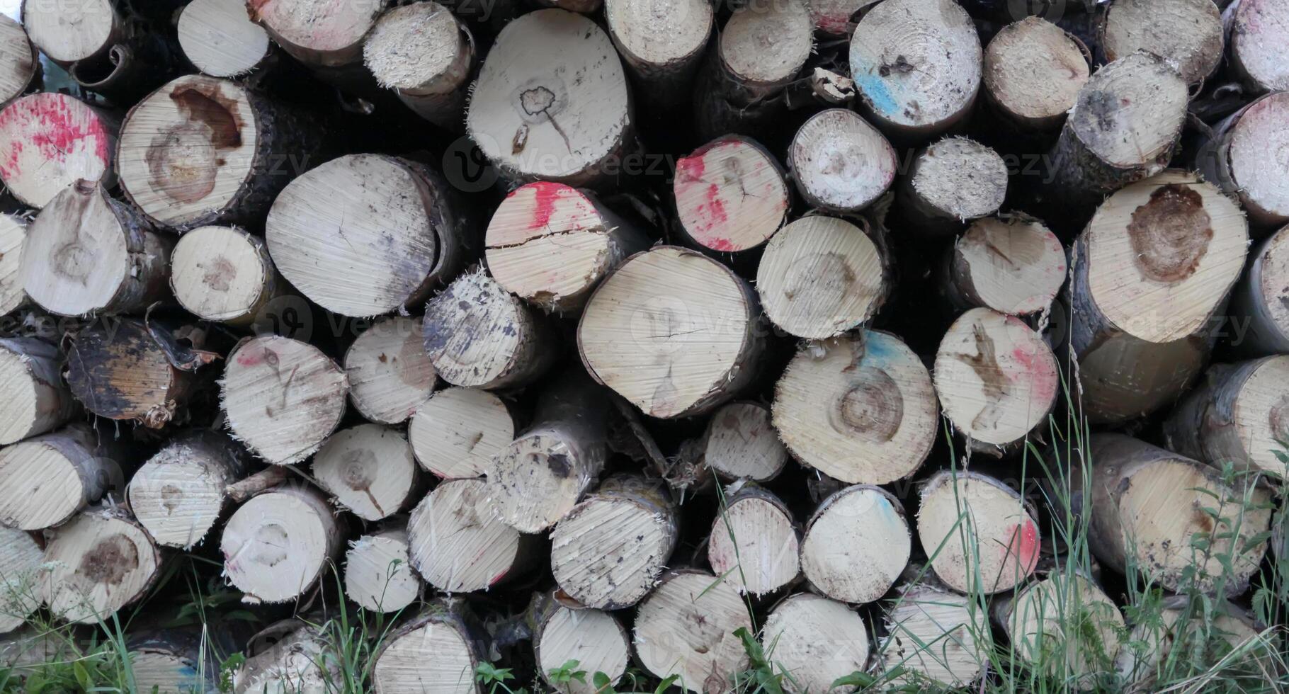 Chopped firewood in the countryside. photo