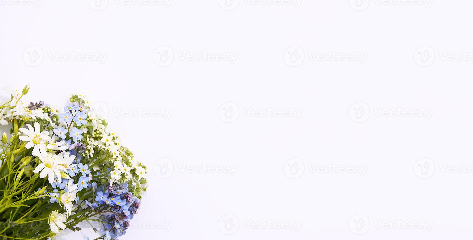 Wild white and blue forget-me-not plant flowers on soft paper background. Copy space. Floral card. photo