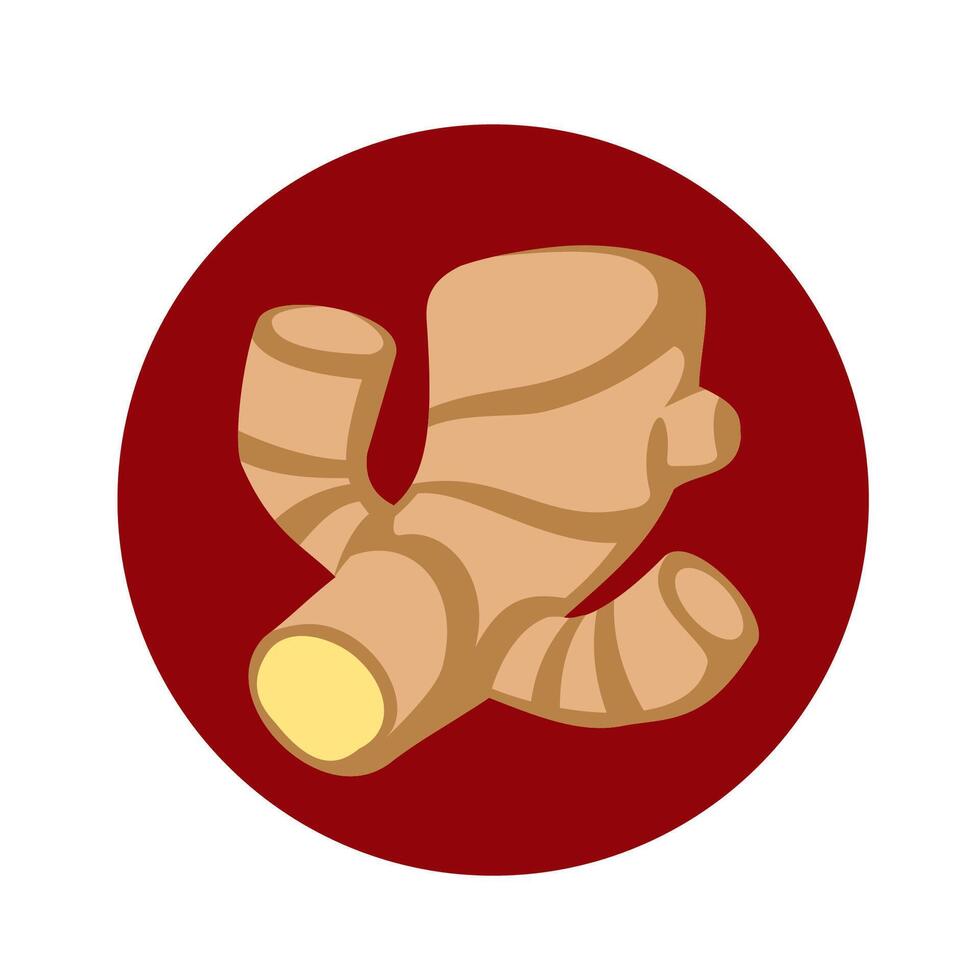 illustration of ginger vector