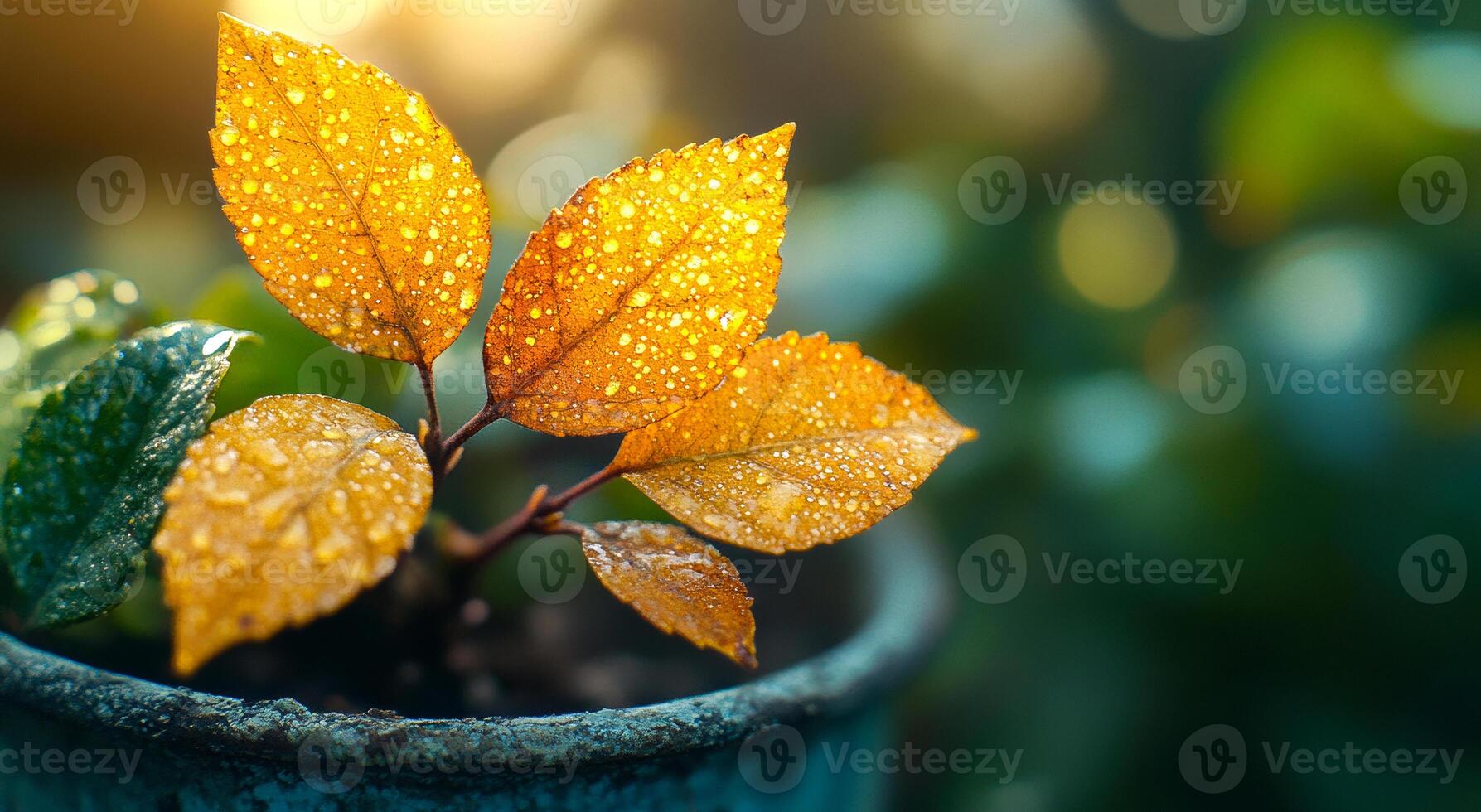 A leafy plant in a pot with water droplets on it. Concept of freshness and growth, as the leaves are still vibrant and healthy despite the rain photo