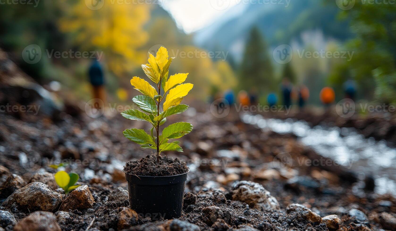 A small plant is growing in a pot on a rocky hillside. The plant is surrounded by rocks and dirt, and it is thriving despite the harsh environment. Concept of resilience and determination photo