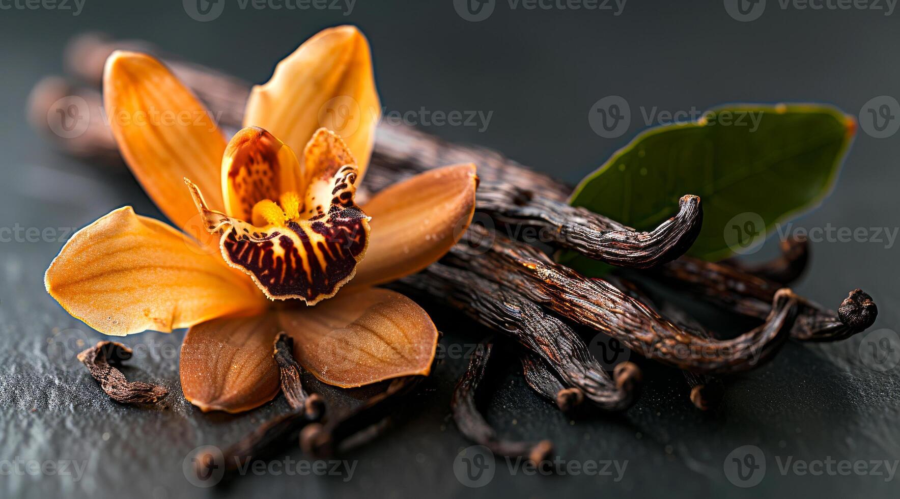A flower with a brown stem and a bunch of vanilla beans photo