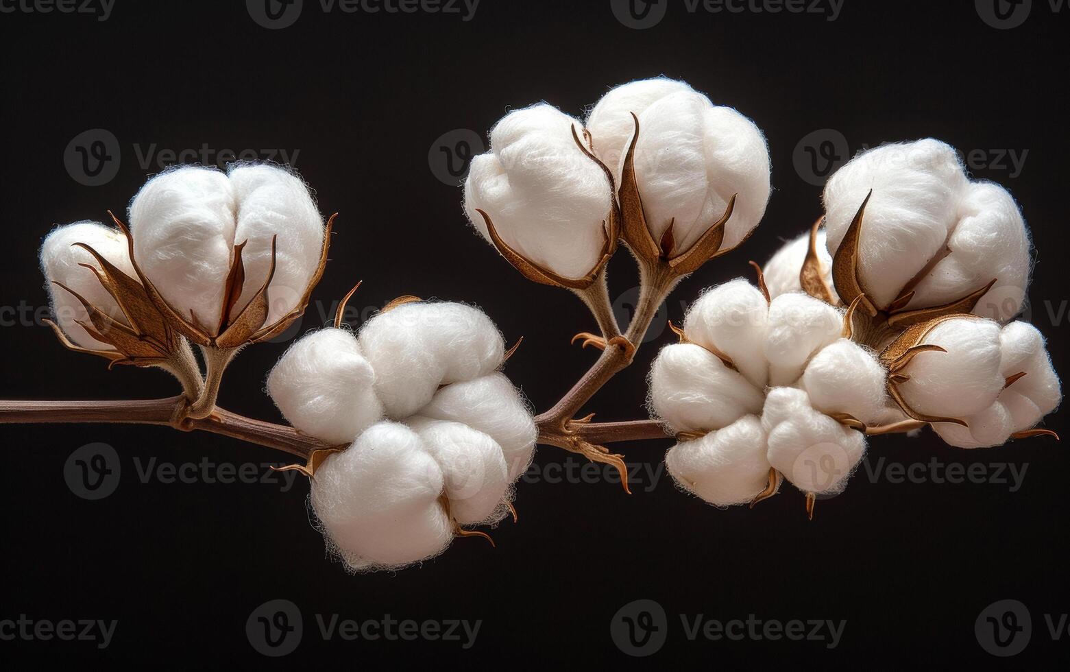 A bunch of cotton flowers are hanging from a branch. The flowers are white and fluffy, and they are arranged in a way that makes them look like they are floating. The image has a peaceful photo