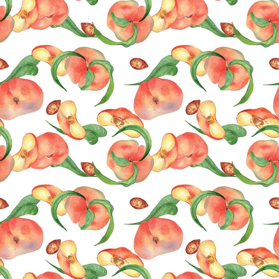 Chines fig peaches and leaves watercolor seamless pattern isolated on white. Whole ripe fruits painting. Flat peach hand drawn. Design element for package, textile, skin care cosmetic. vector