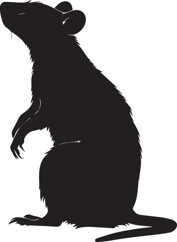 Silhouette Rat Animal Image vector