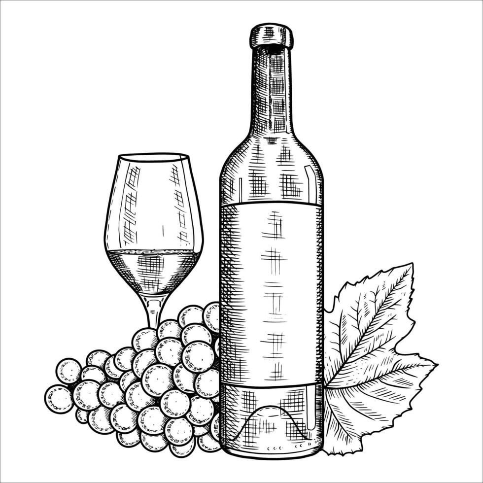 Hand drawn bottle of wine, glass, grapes. illustration vector