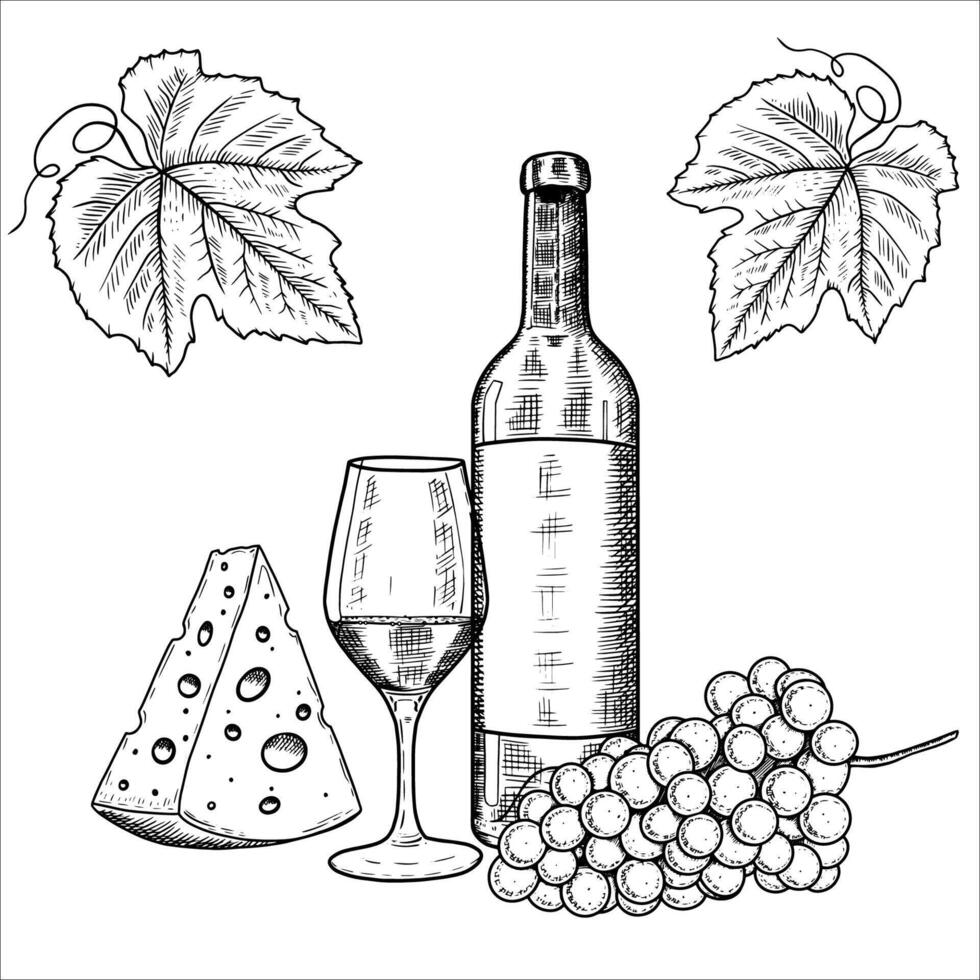 Hand drawn bottle of wine, glass, grapes, cheese. illustration vector