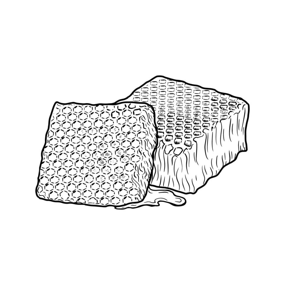 Hand drawn honeycomb. illustration vector