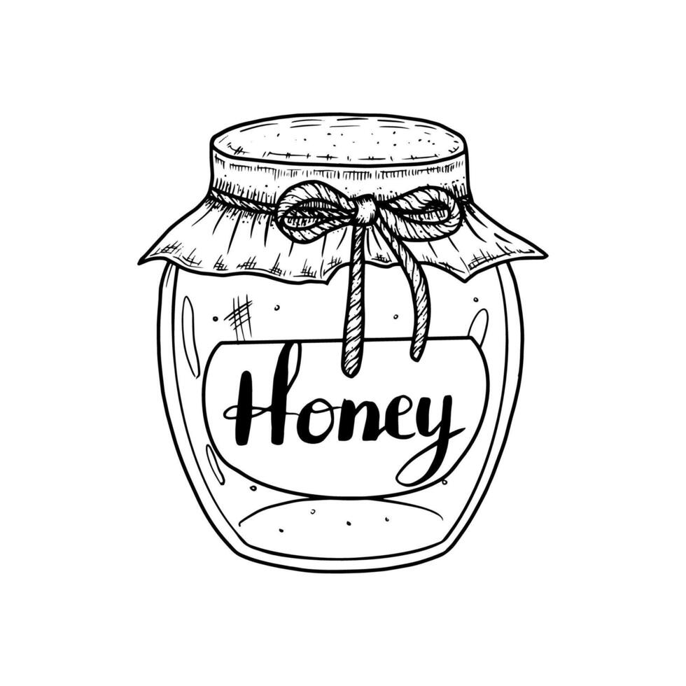 Hand drawn jar of honey. illustration vector