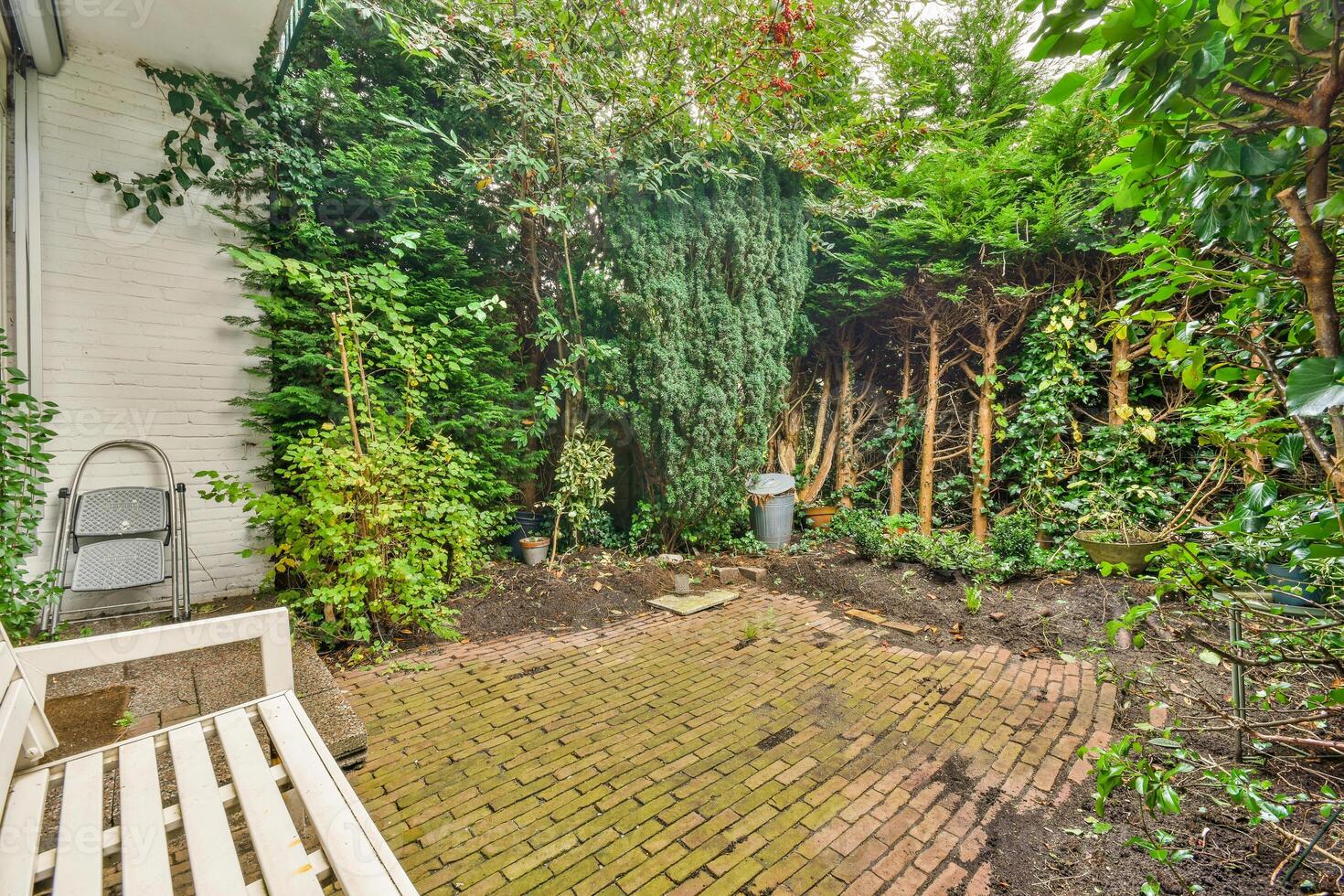 A small garden with a bench and plants photo