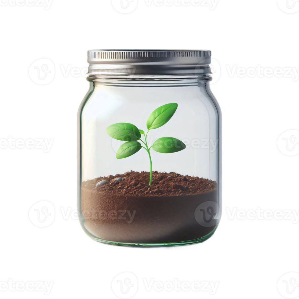 plant in a glass jar png