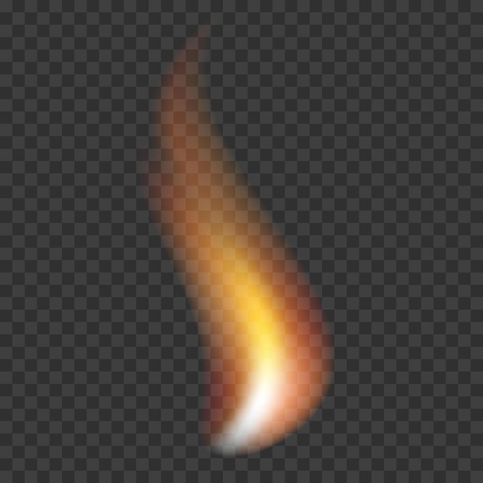 Light effect. Realistic fire. Flame fire illustration. vector