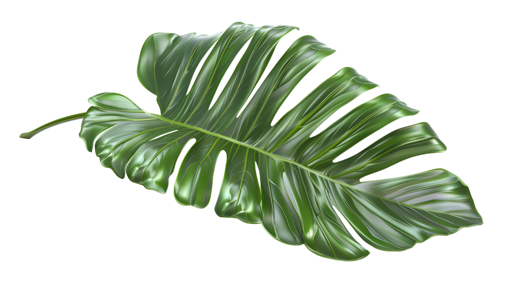 Single Monstera Leaf with Detailed Veins Isolated on Transparent Background png