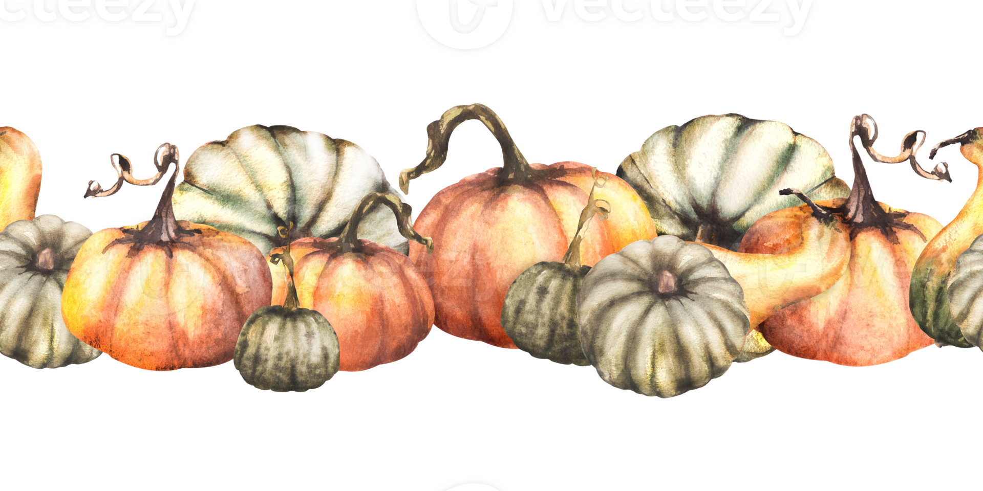 Vegetable seamless pumpkins colorful border, pattern. Isolated from background. Watercolor autumn illustration. Hand drawing fall repeating design for thanksgiving cards, halloween wrapping, prints png