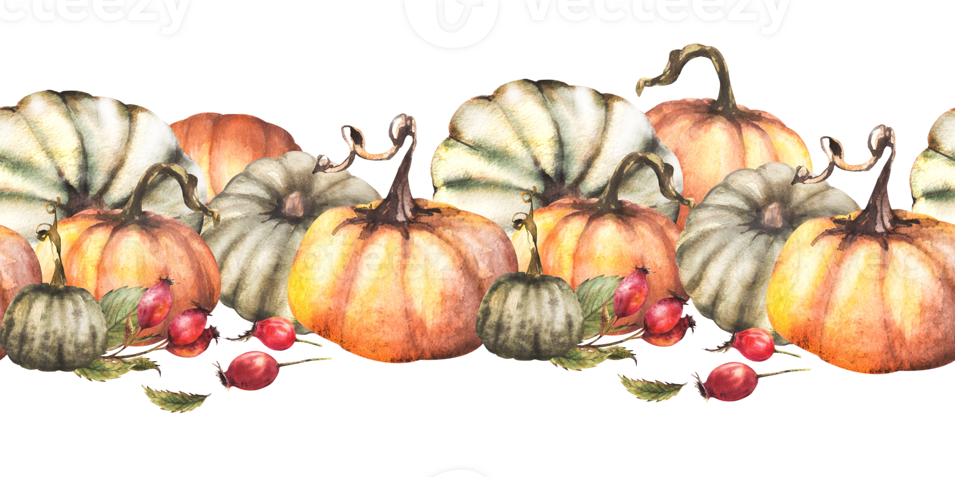 Pumpkins with rose hips border. Watercolor briar fruits, dog rose fall seamless horizontal pattern. Isolated from background. Autumn harvest illustration. Hand drawn design for thanksgiving, halloween png