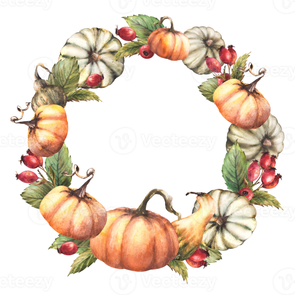 Pumpkins with dog rose rosehip berry and leaves wreath. Watercolor wild briar fruits Fall harvest circular frame isolated from background Autumn hand drawn illustration Thanksgiving day card template png