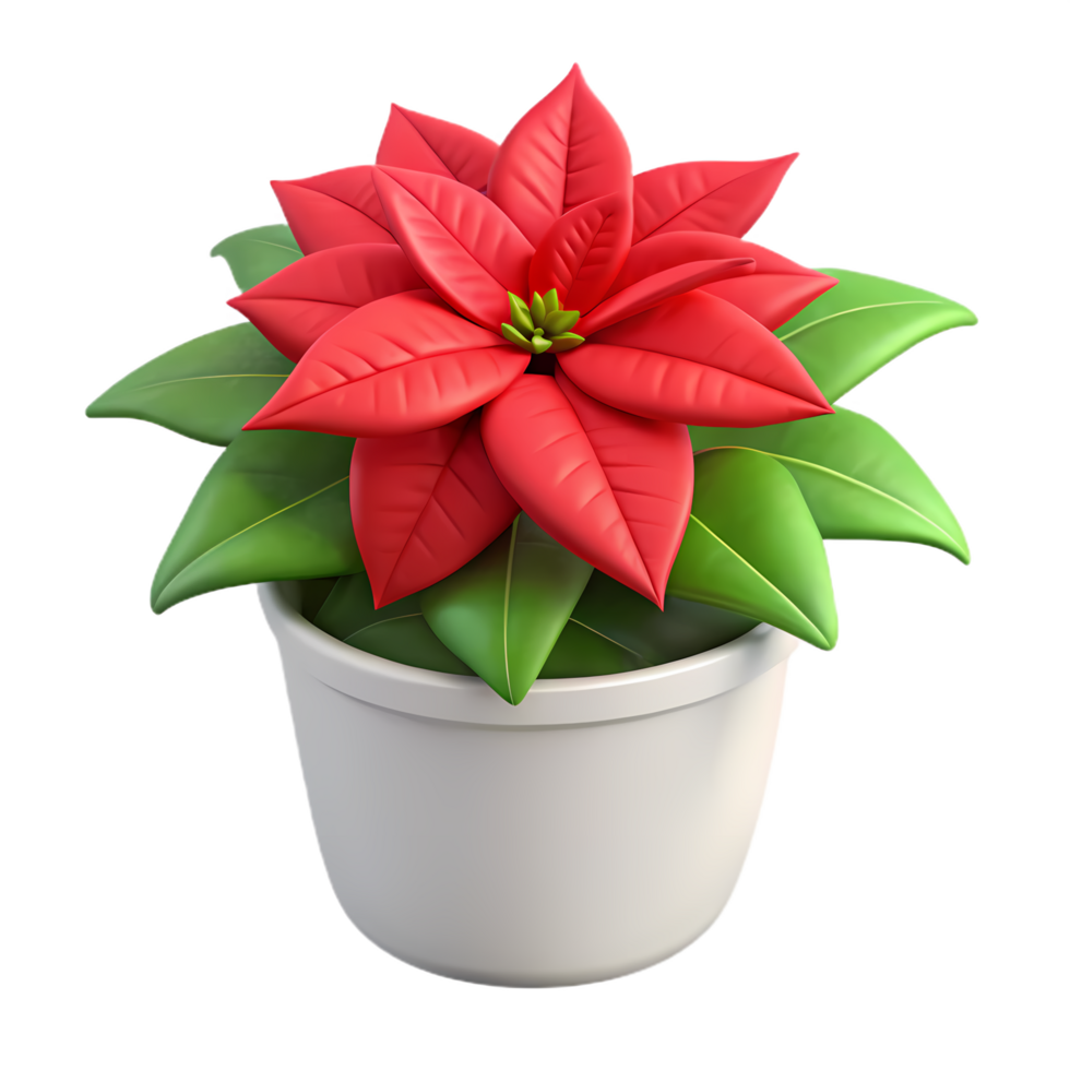 red poinsettia plant in a simple white pot png