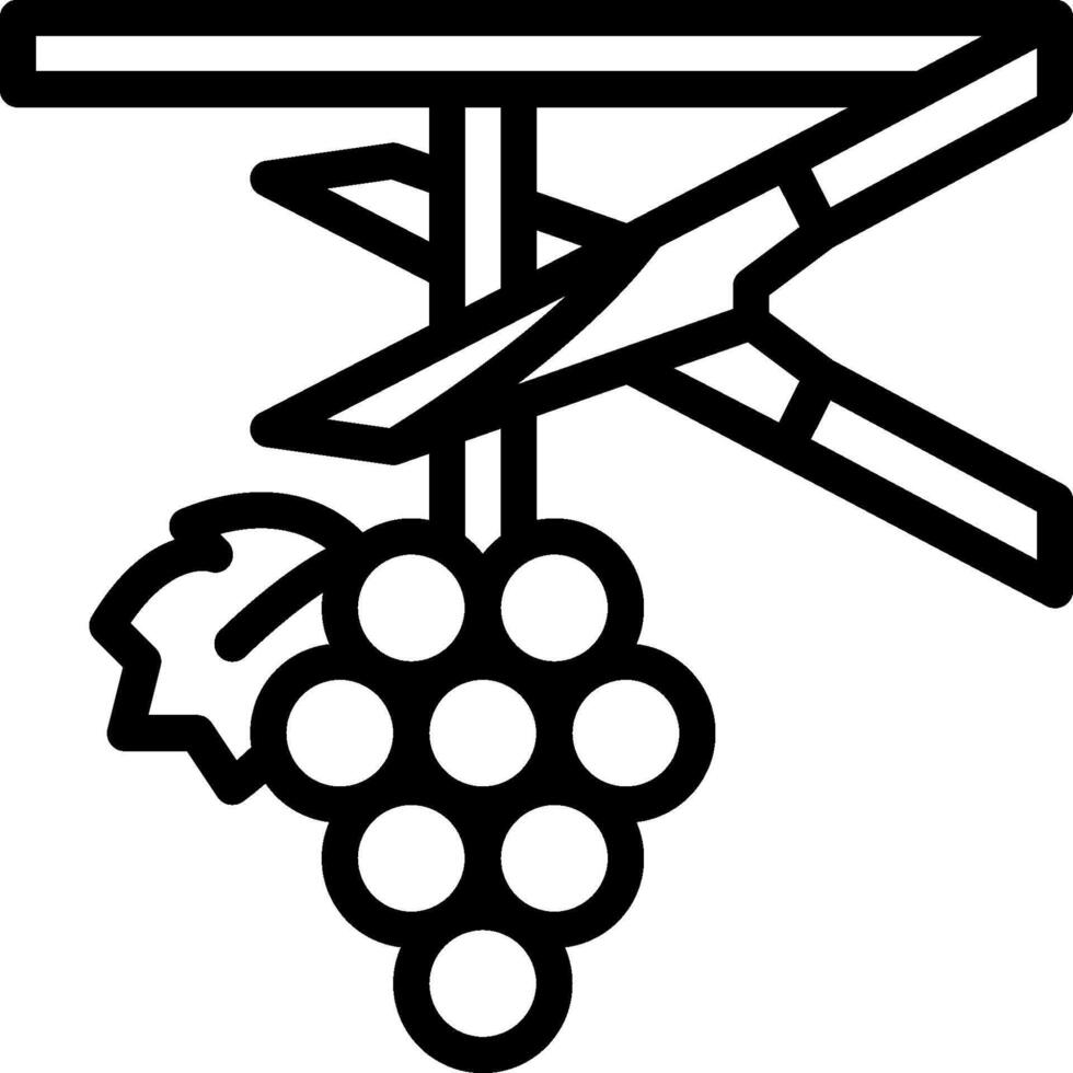 A black and white drawing of a grapevine vector