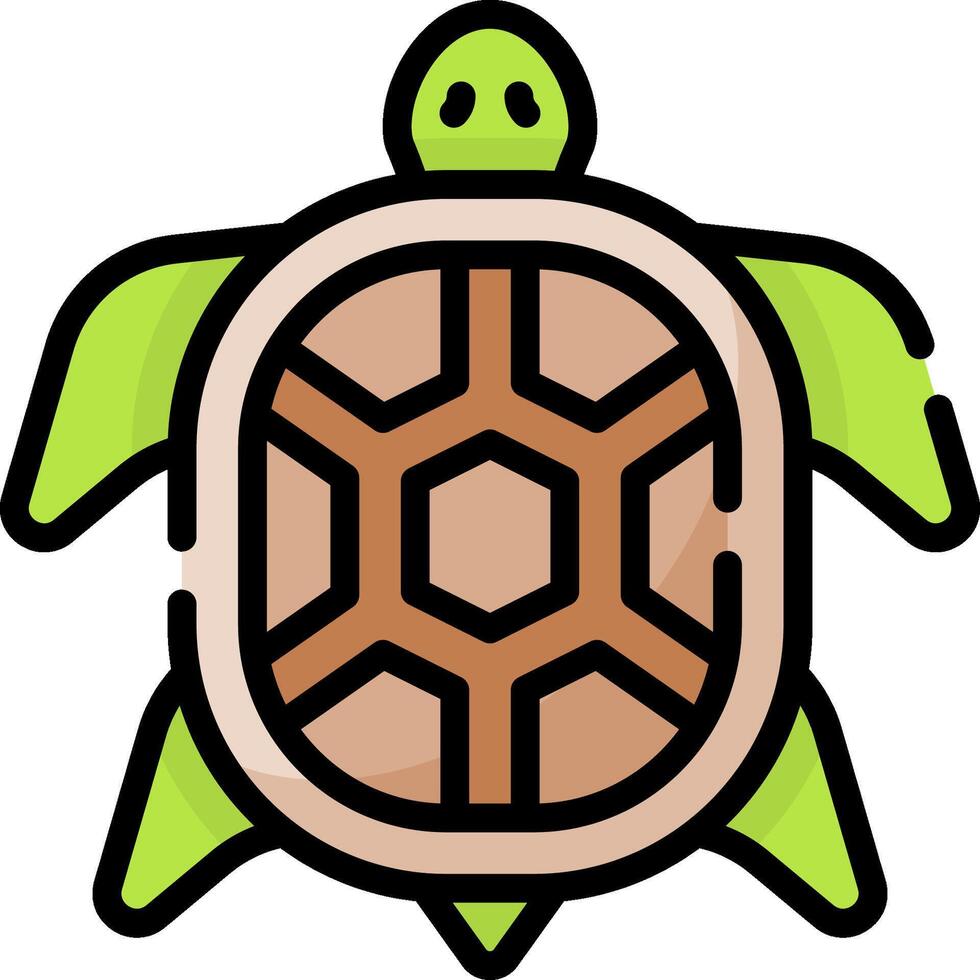 A turtle icon on a white background vector
