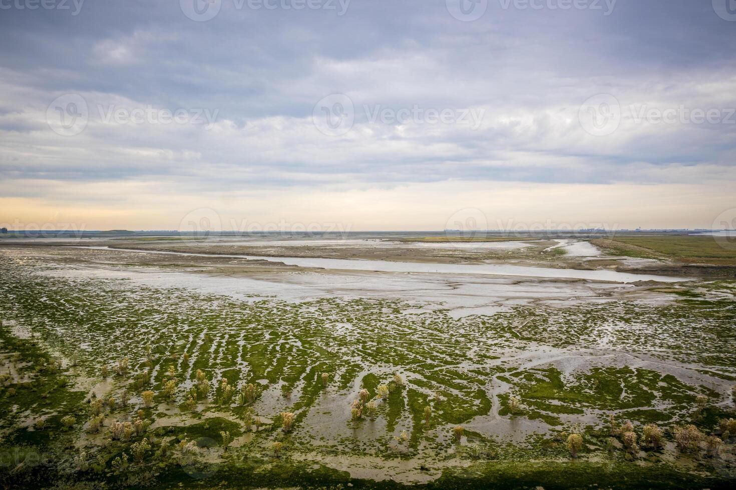 View into Drowned Land of Saeftinghe from Oude Doel, on the border between Belgium and the Netherlands photo