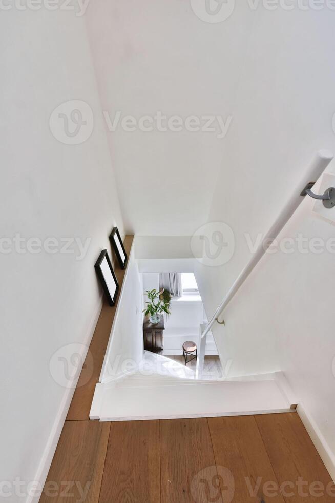 A white stairway with wooden floors and a plant on the wall photo