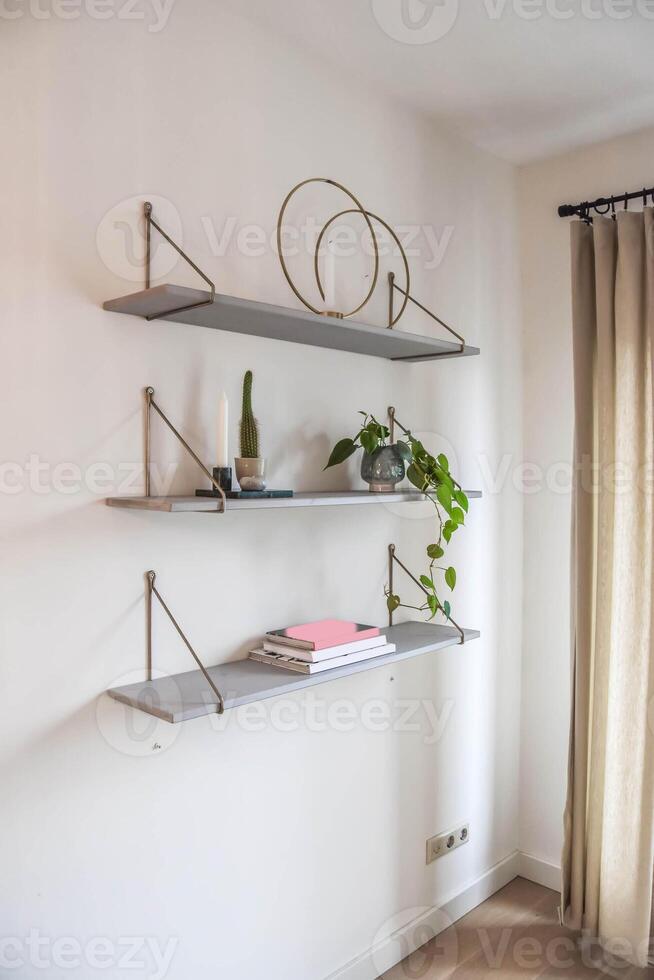 A shelf with plants and a book on it photo
