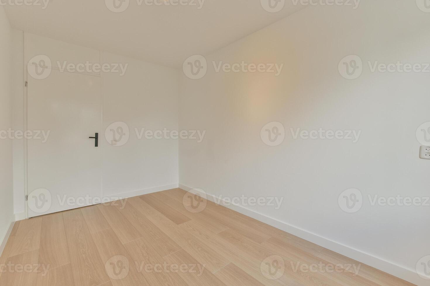 An empty room with white walls and wooden floors photo