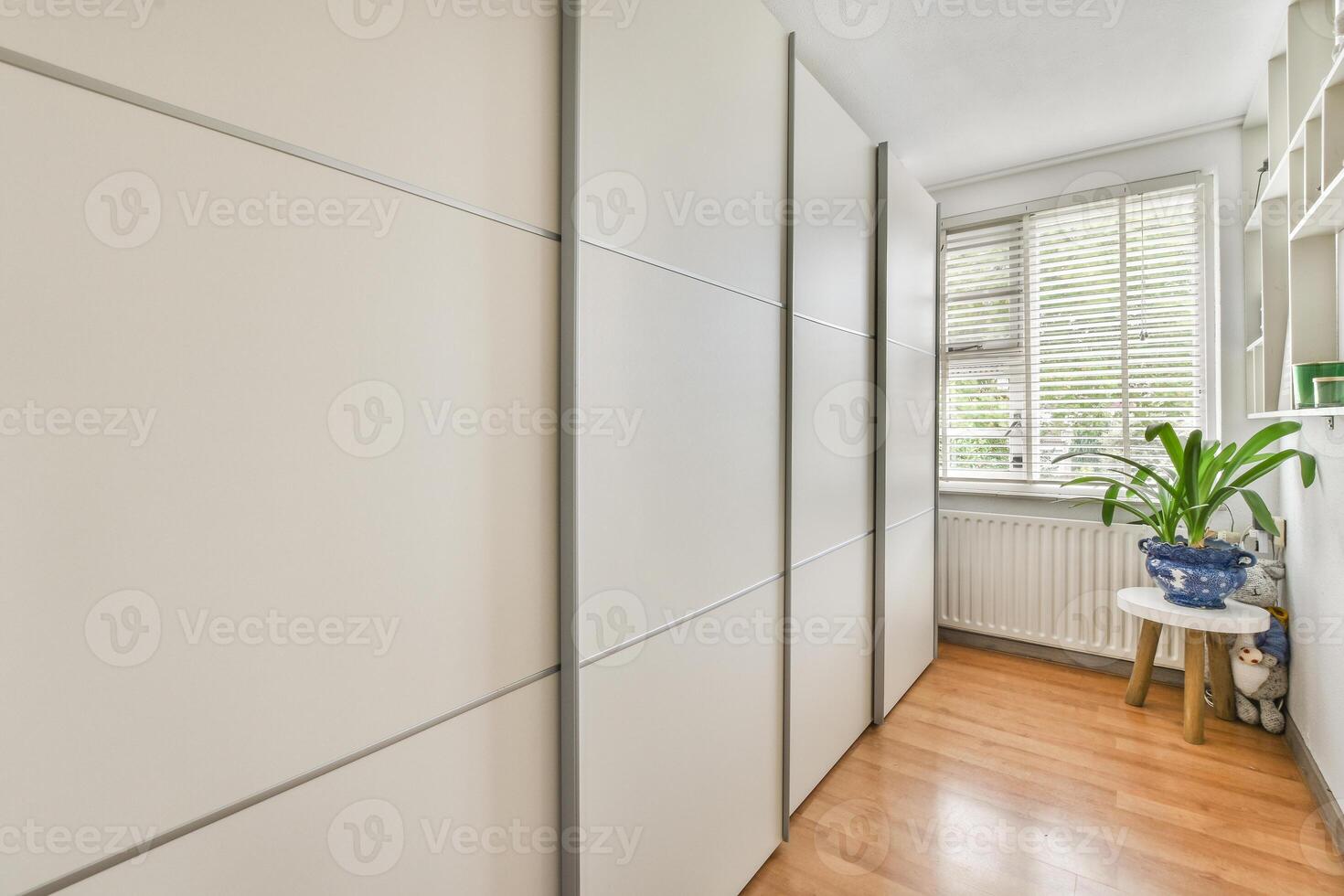 A hallway with white closets and a plant photo