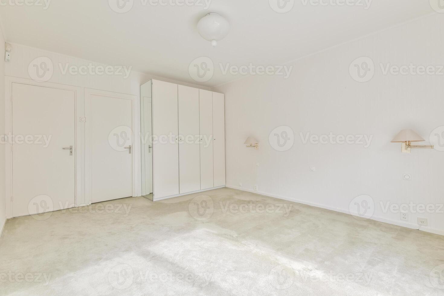 A white room with a door and a closet photo