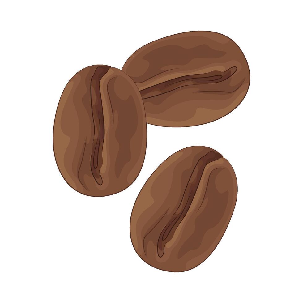 Illustration of coffee beans vector