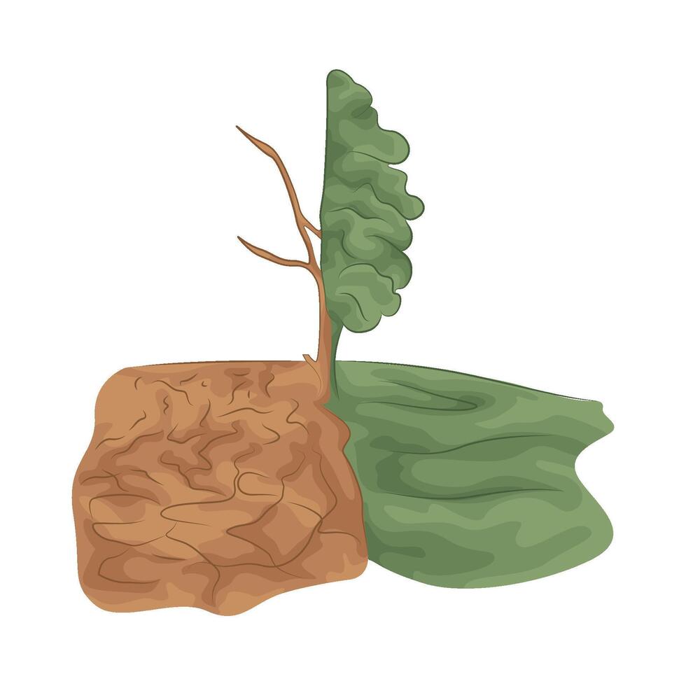 illustration of Different Dry Fertile Land vector