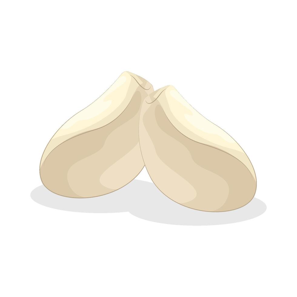 Illustration of garlic vector