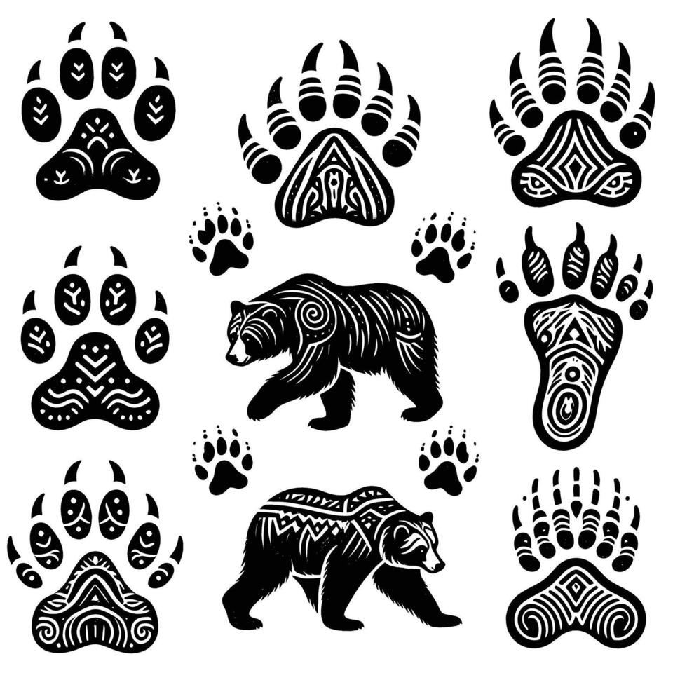 Bear paw prints and footprints vector