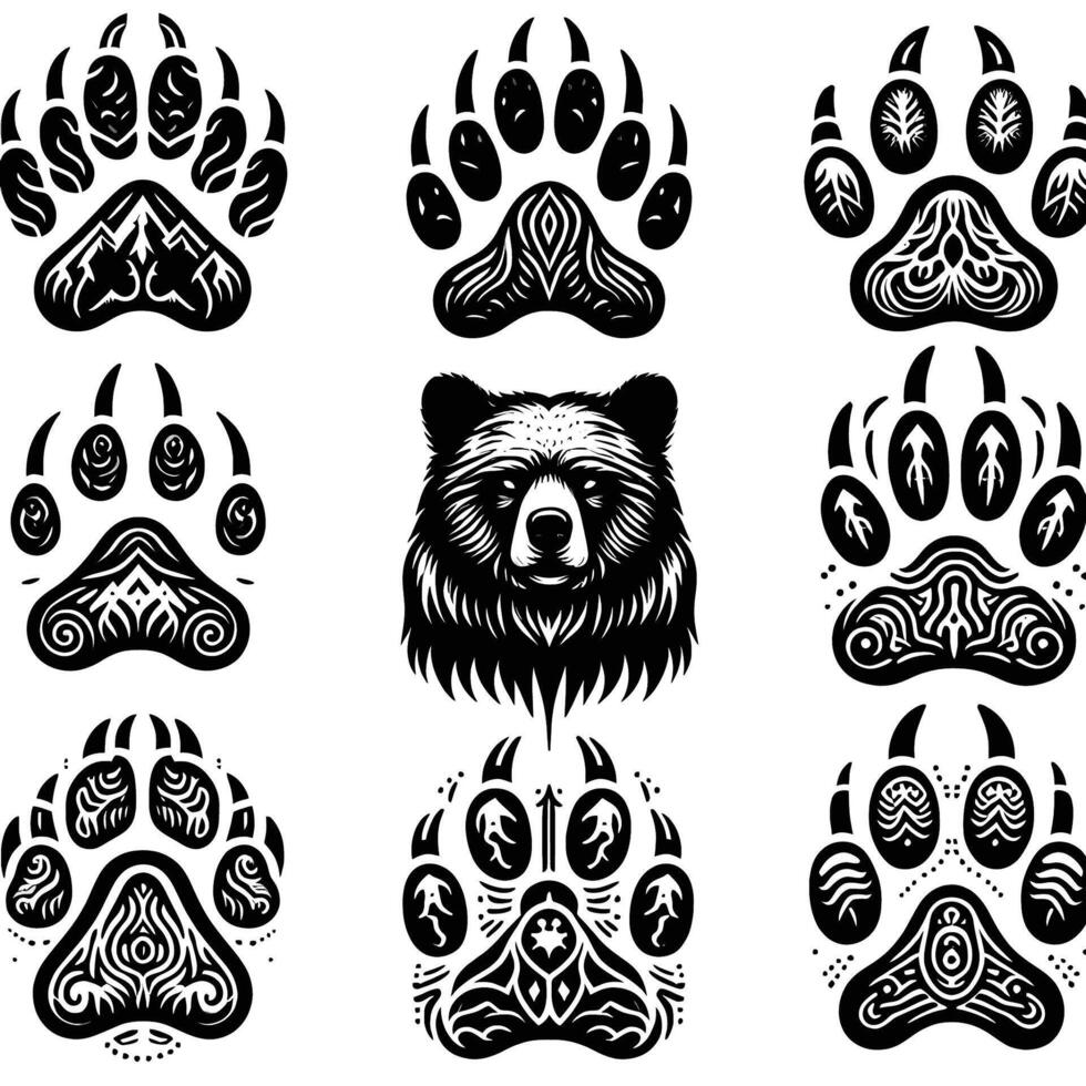 Bear paw prints illustration vector