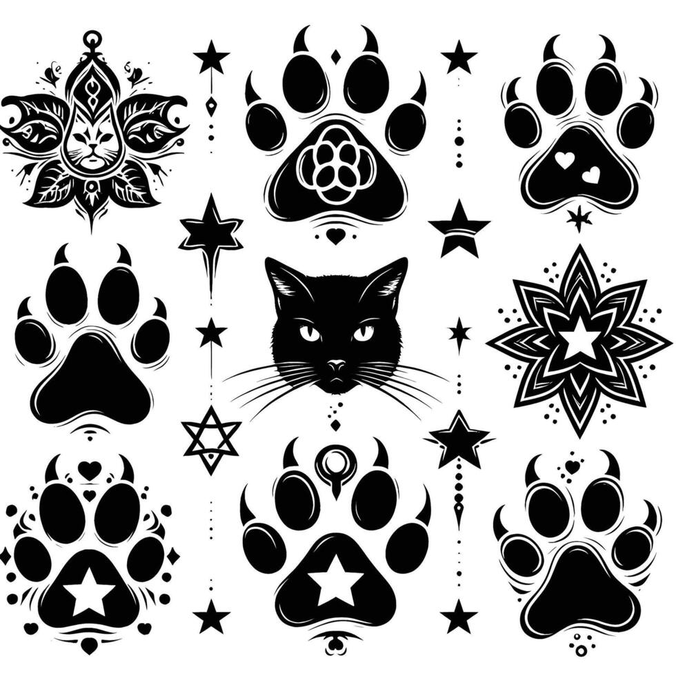 Black cat paw prints and stars on a white background vector