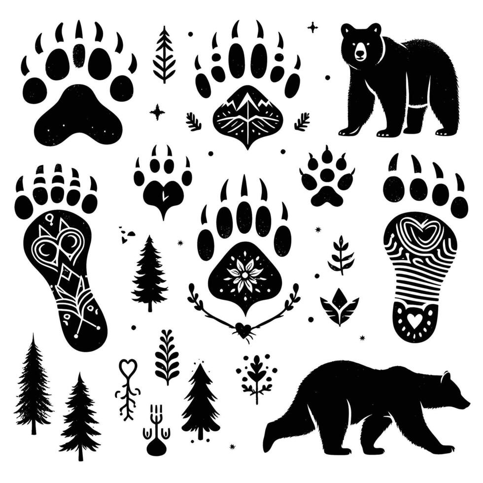 Bear footprints and bear prints in the forest vector