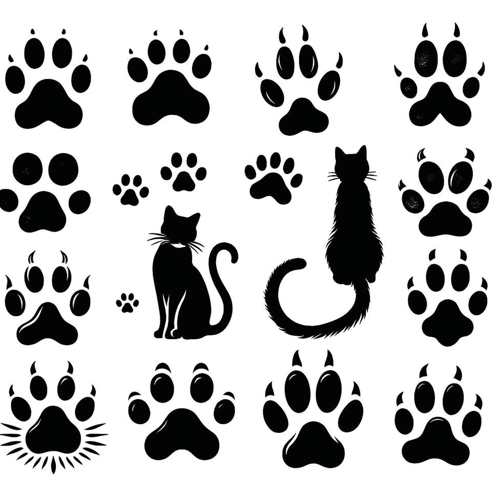 Cat and dog footprints vector