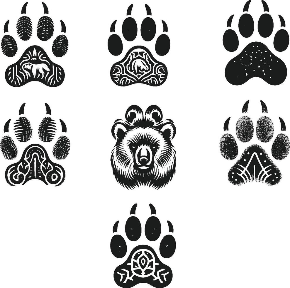 Bear paw prints illustration vector