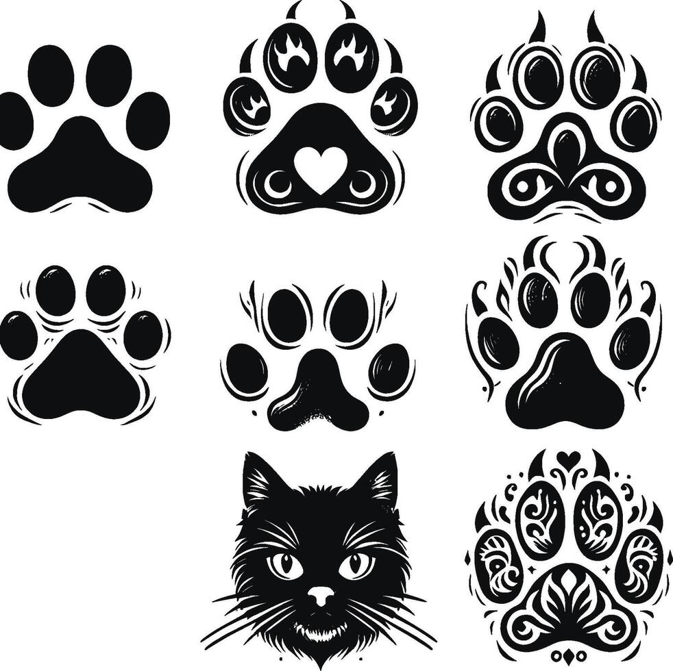 Cat paw prints and paw prints vector