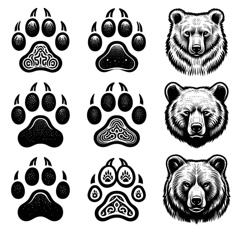 Bear paw prints and footprints illustration vector