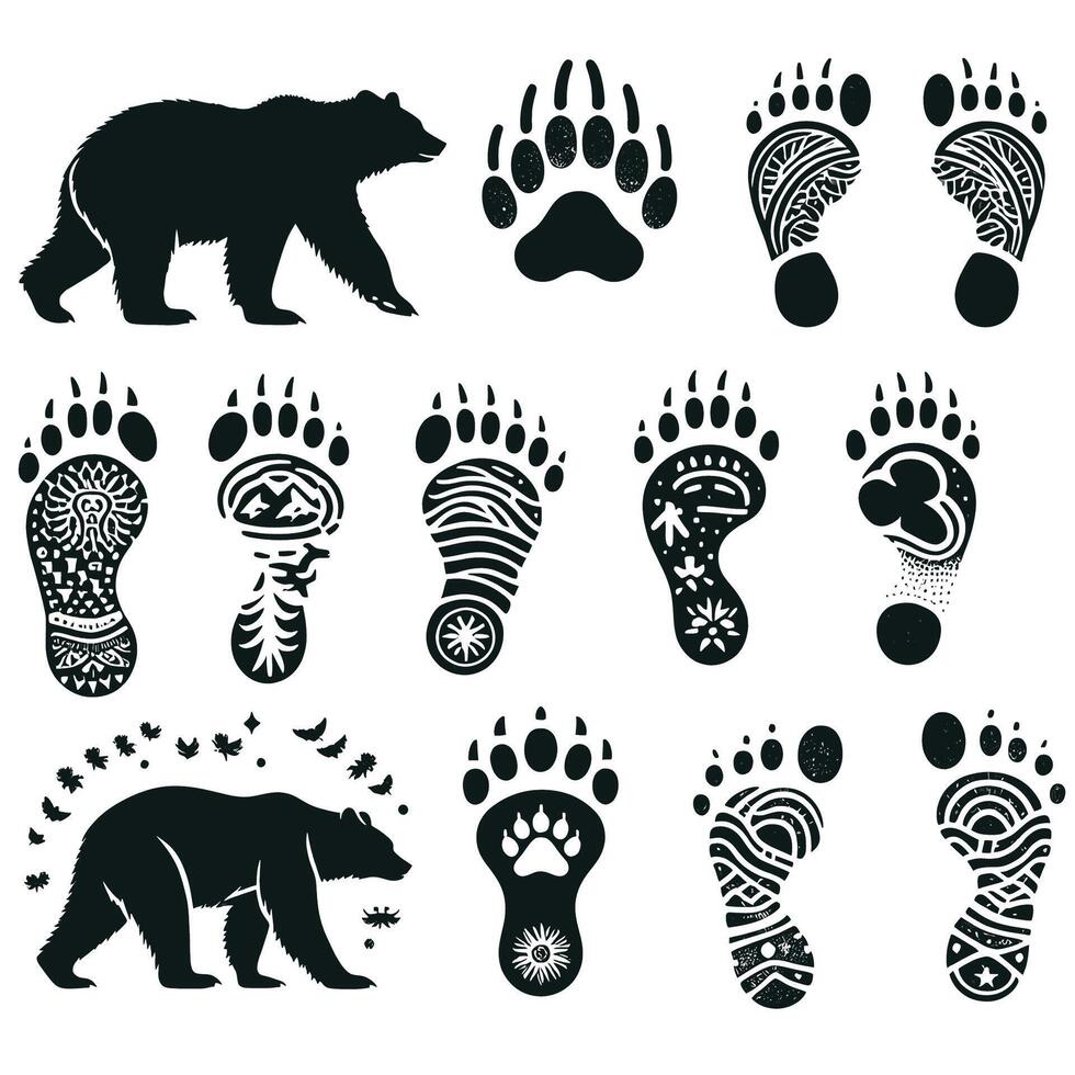 Bear footprints and footprints vector