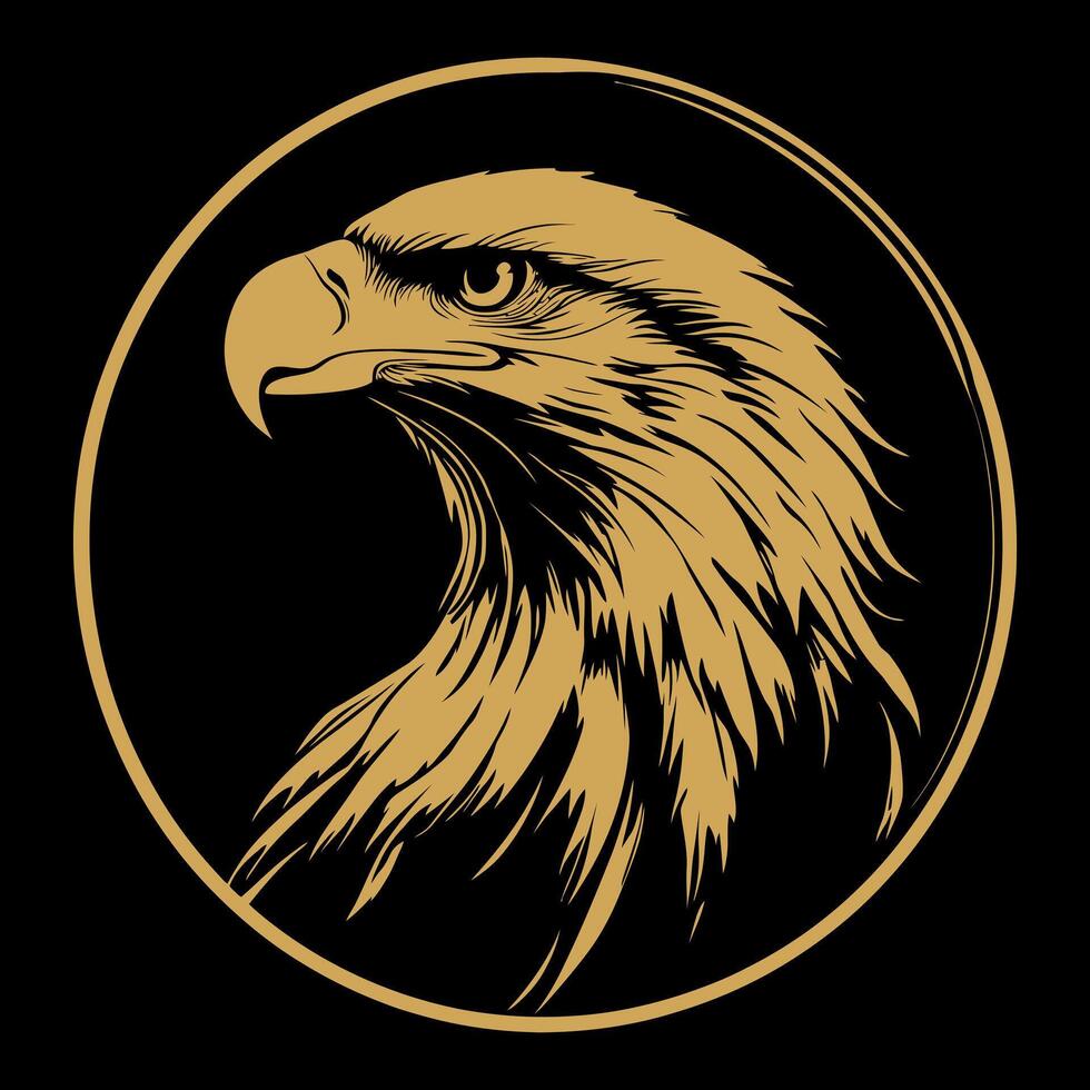 A very cool eagle head, on a black background. vector