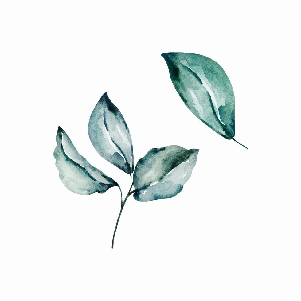 Green leaves watercolor set, floral illustration vector