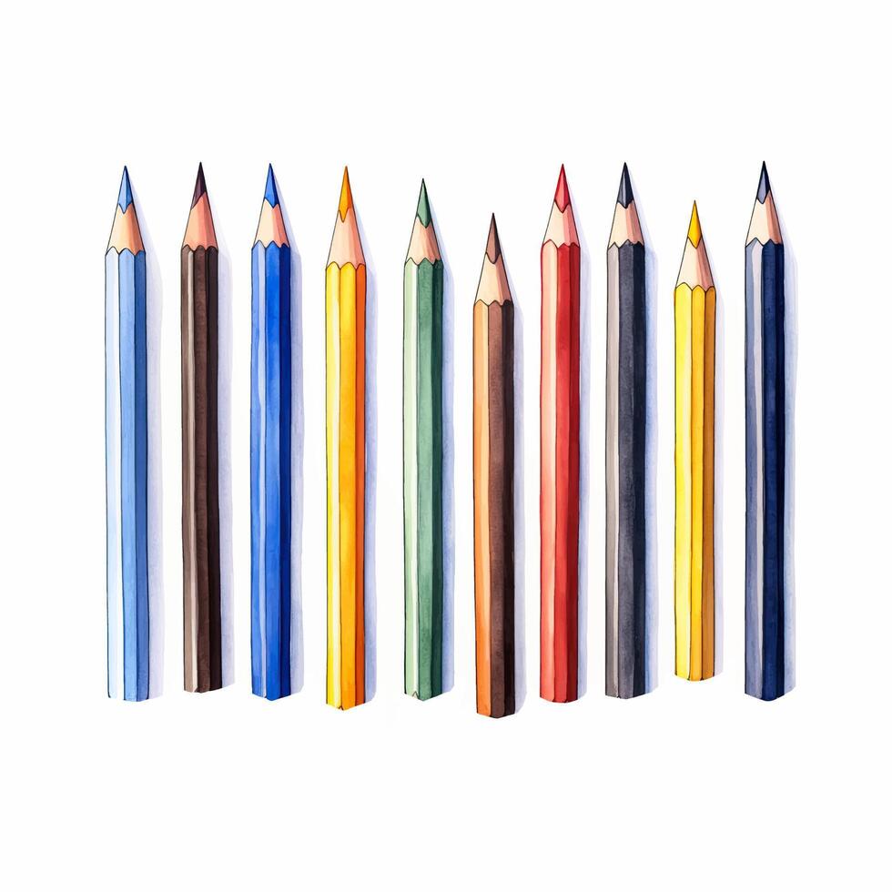 Watercolor school colors pencils set on white background vector