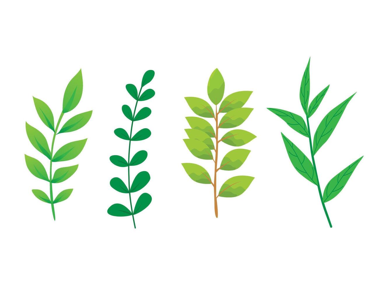 Set of leaves. Hand drawn decorative elements. Collection of fresh green leaves branch isolated on white background vector