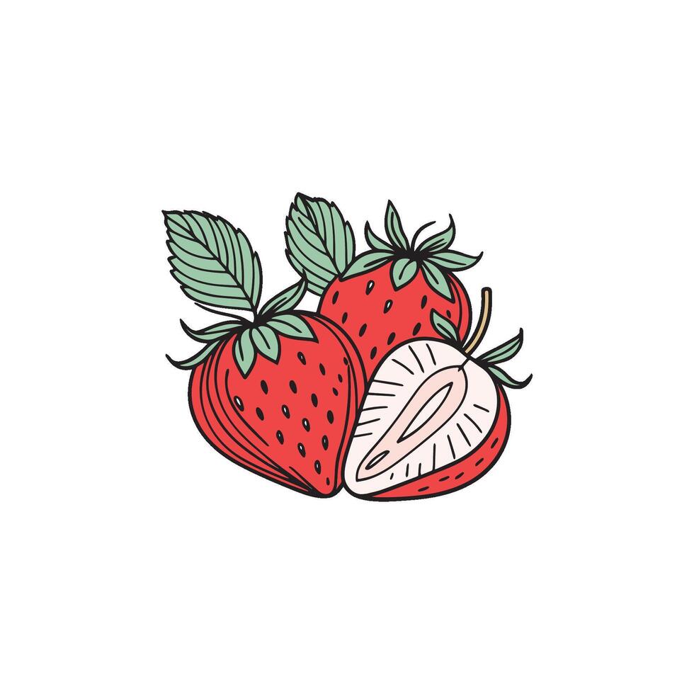 simple illustration a sliced strawberry vector